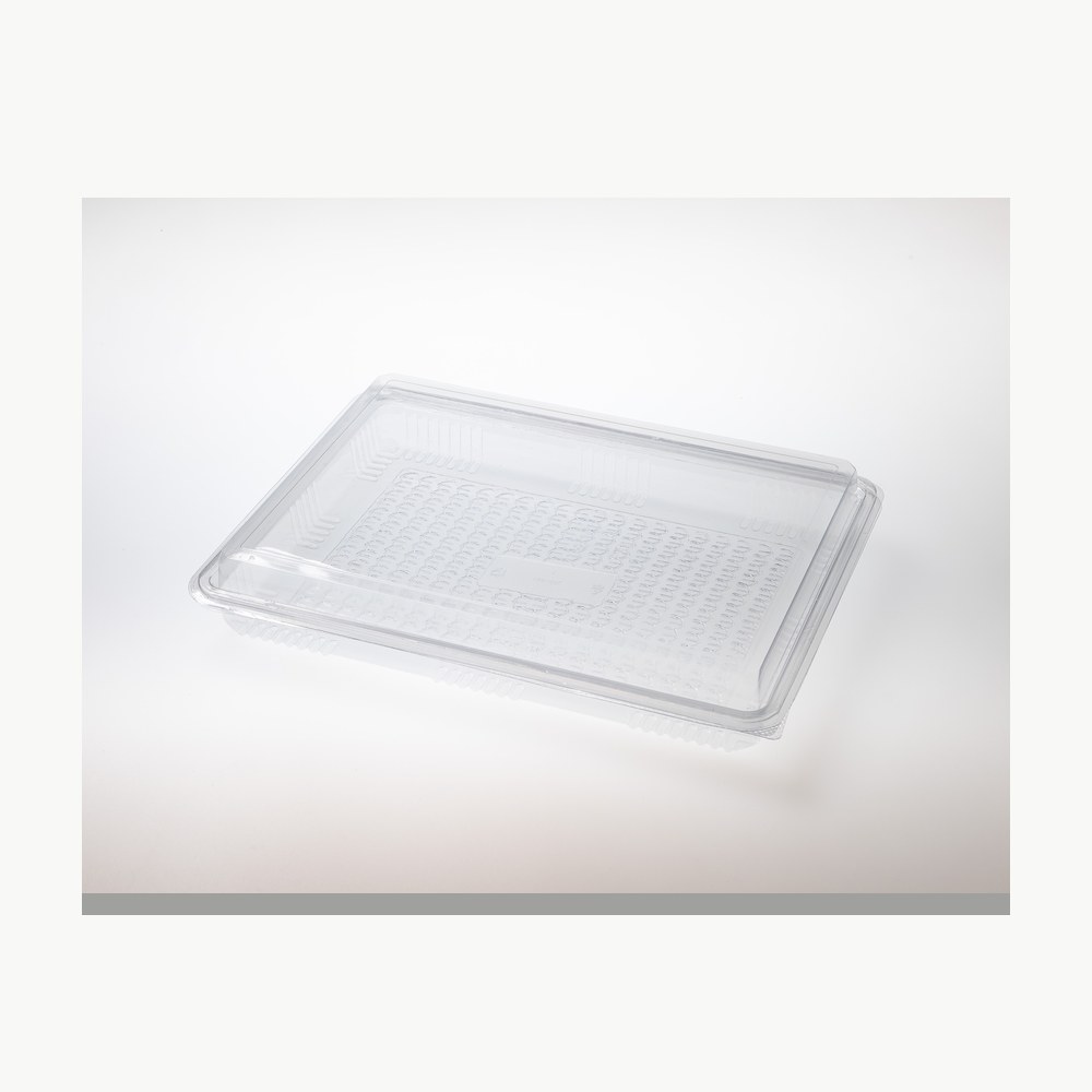 DESSERT CONTAINER BAKLAVA1000ML - Ambalaža za torte i kolače Gastro Pak